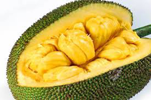 jackfruit 21